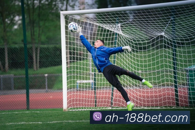 金宝博官网APP 封面图